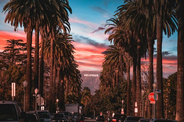 Commercial storefronts and retail spaces in Los Angeles California